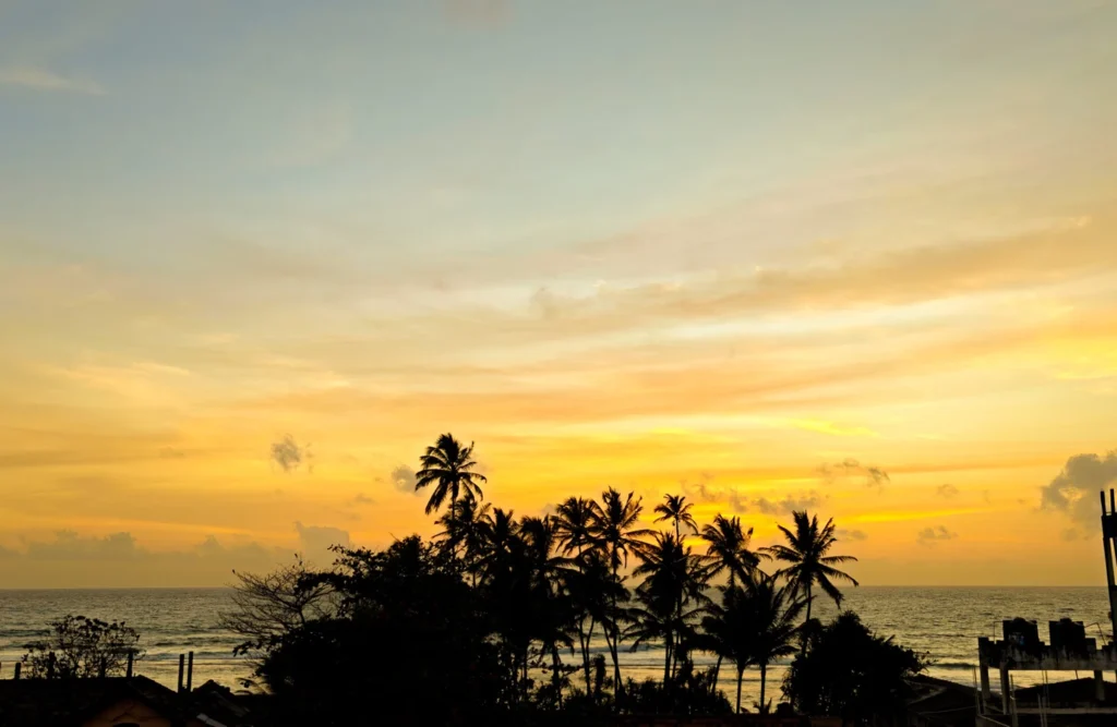 Palm trees silhouetted against an orange coastal sunset